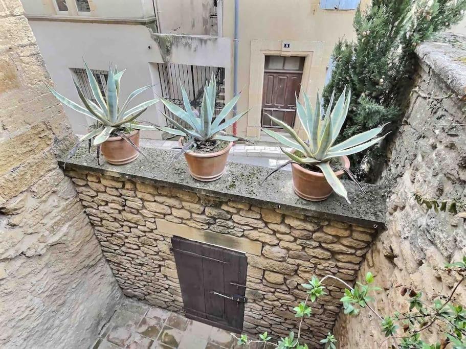 Chez Lydia - Loft Cosy, Depart Canoe A Pied, Proche Pont-Du-Gard Et Uzes 레물링 외부 사진